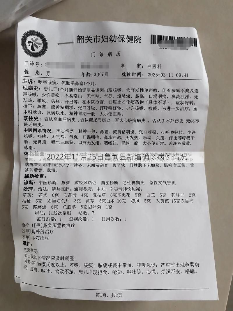 2022年11月25日鲁甸县新增确诊病例情况