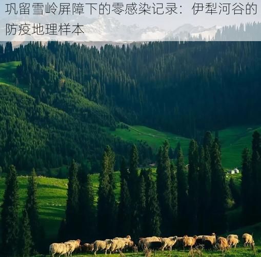 巩留雪岭屏障下的零感染记录：伊犁河谷的防疫地理样本