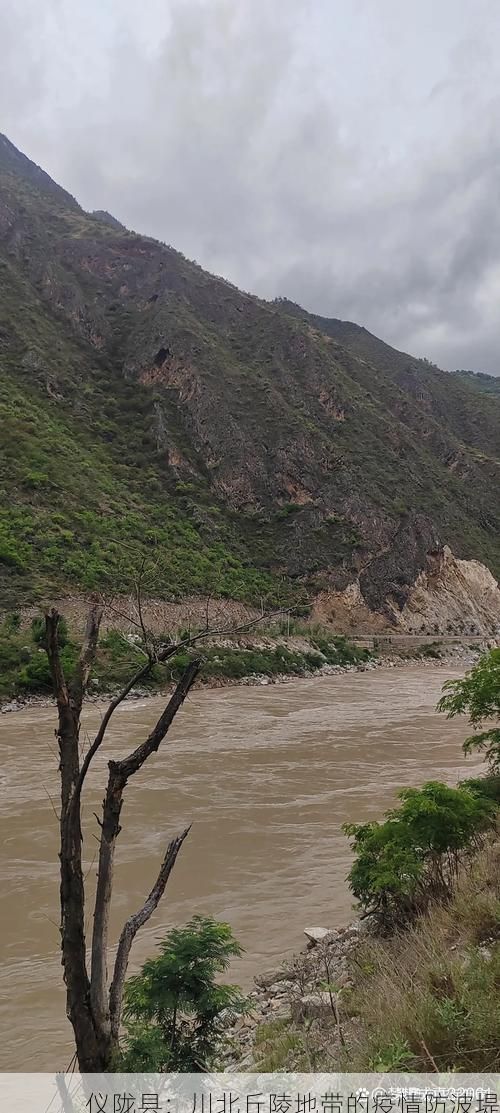 仪陇县：川北丘陵地带的疫情防波堤