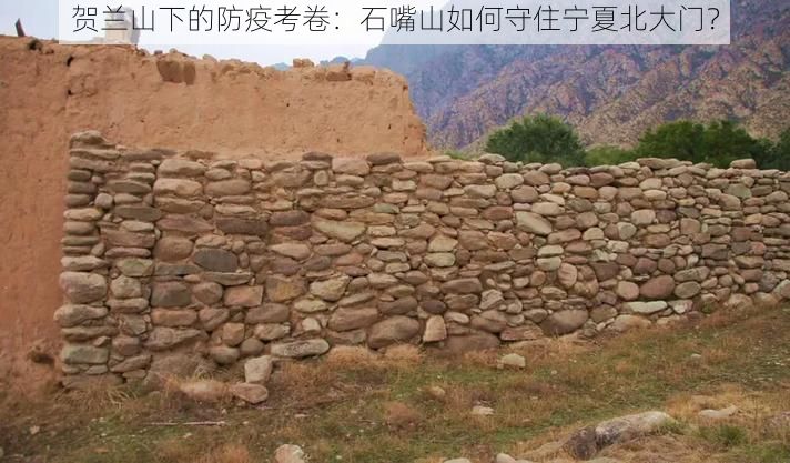 贺兰山下的防疫考卷：石嘴山如何守住宁夏北大门？