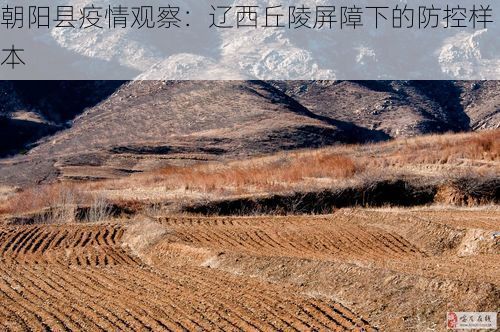 朝阳县疫情观察：辽西丘陵屏障下的防控样本
