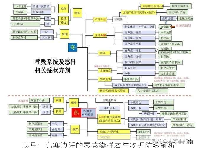 康马：高寒边陲的零感染样本与物理防线解析