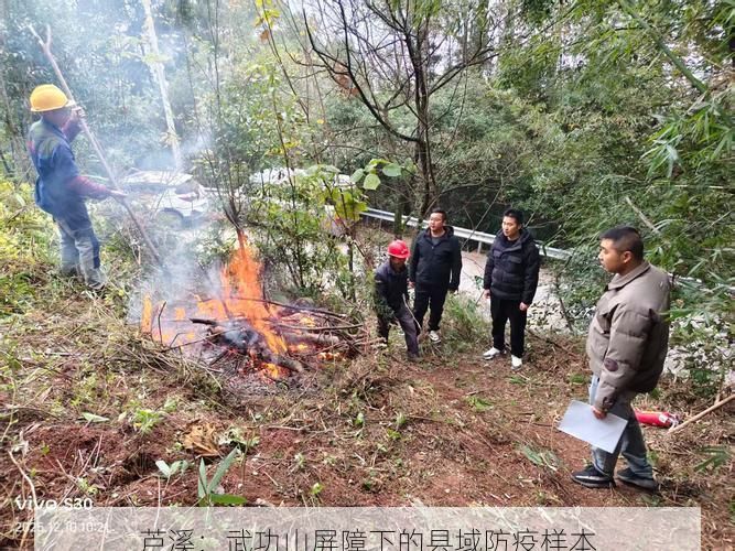 芦溪：武功山屏障下的县域防疫样本