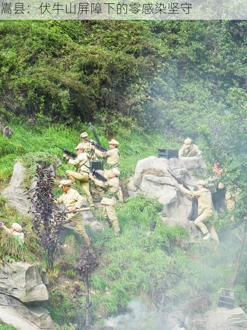 嵩县：伏牛山屏障下的零感染坚守