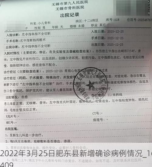 2022年3月25日肥东县新增确诊病例情况_16409