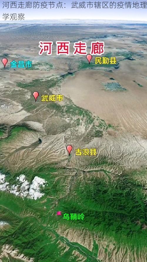 河西走廊防疫节点：武威市辖区的疫情地理学观察