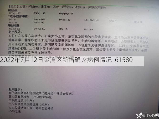 2022年7月12日金湾区新增确诊病例情况_61580