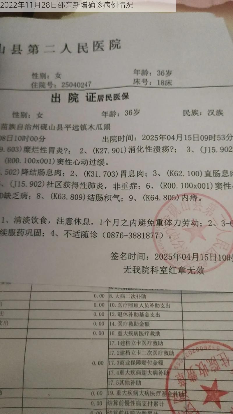 2022年11月28日邵东新增确诊病例情况