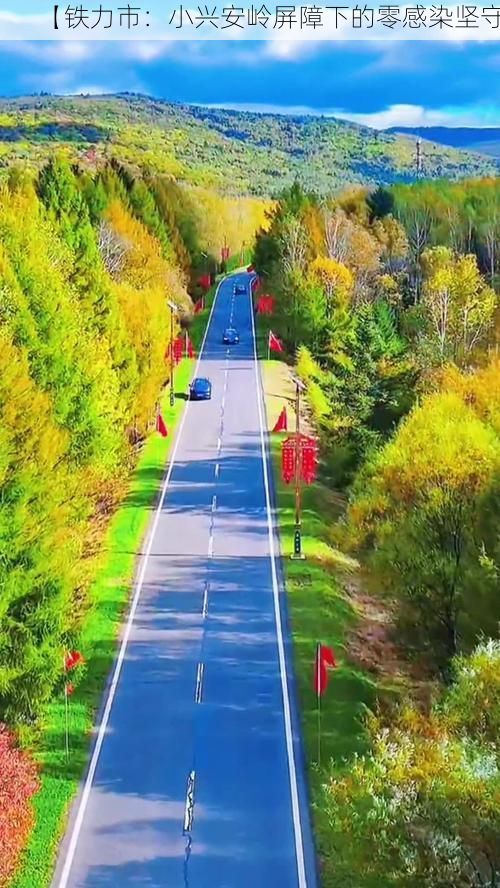 【铁力市：小兴安岭屏障下的零感染坚守】