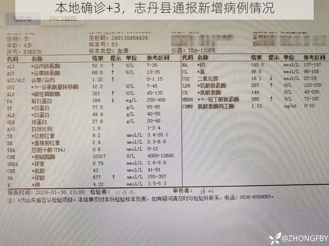 本地确诊+3，志丹县通报新增病例情况