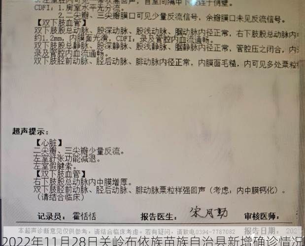 2022年11月28日关岭布依族苗族自治县新增确诊情况