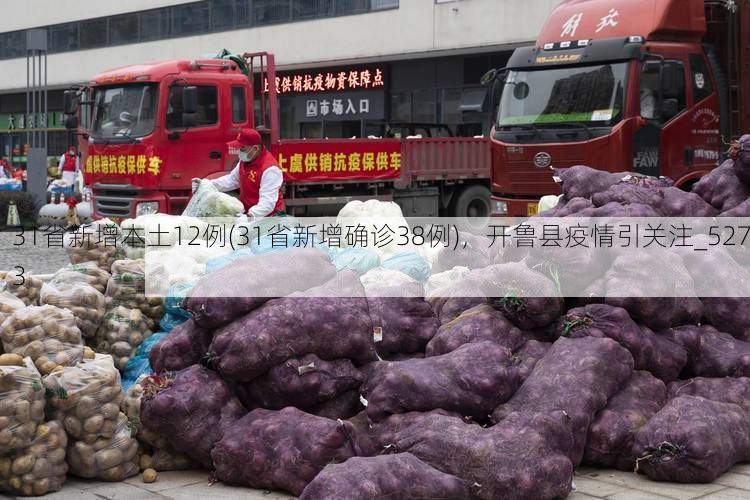 31省新增本土12例(31省新增确诊38例)，开鲁县疫情引关注_5273