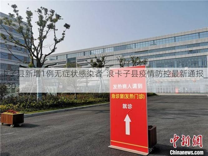 浪卡子县新增1例无症状感染者  浪卡子县疫情防控最新通报_20630