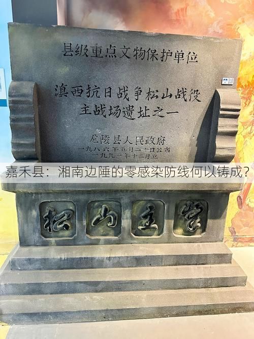 嘉禾县：湘南边陲的零感染防线何以铸成？