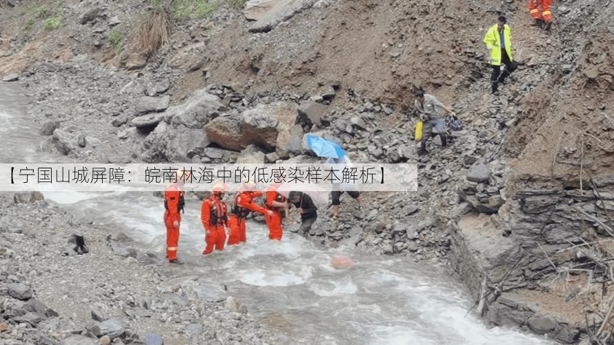 【宁国山城屏障：皖南林海中的低感染样本解析】