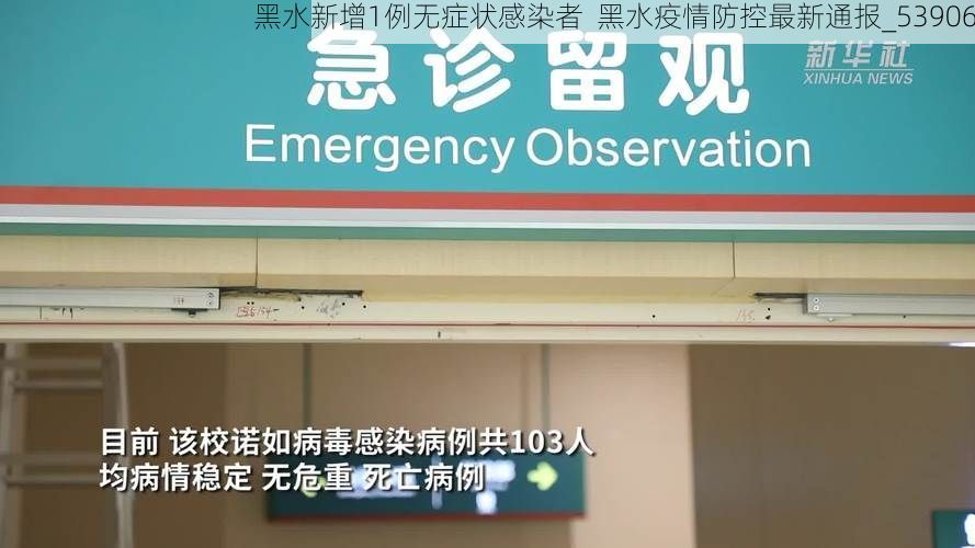 黑水新增1例无症状感染者  黑水疫情防控最新通报_53906