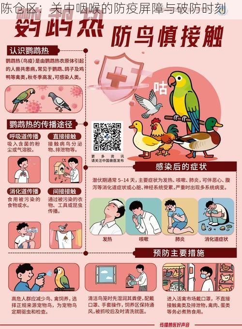 陈仓区：关中咽喉的防疫屏障与破防时刻