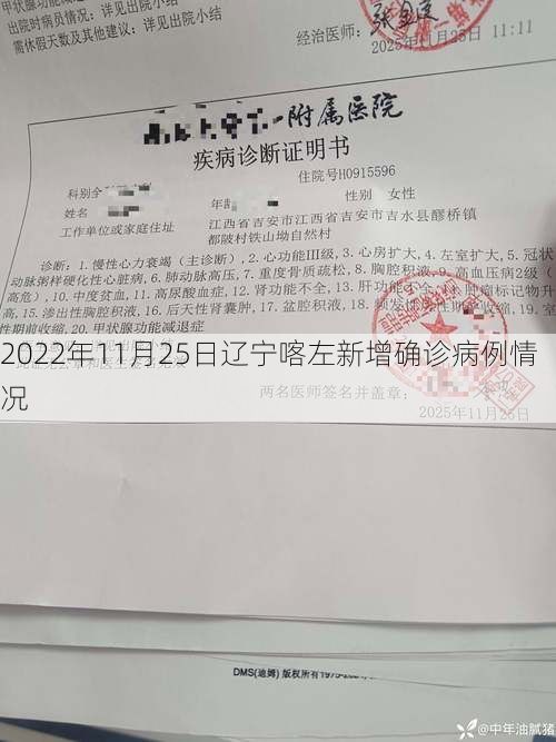 2022年11月25日辽宁喀左新增确诊病例情况