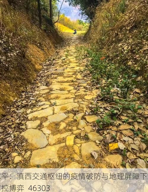 永平：滇西交通枢纽的疫情破防与地理屏障下的防控博弈_46303