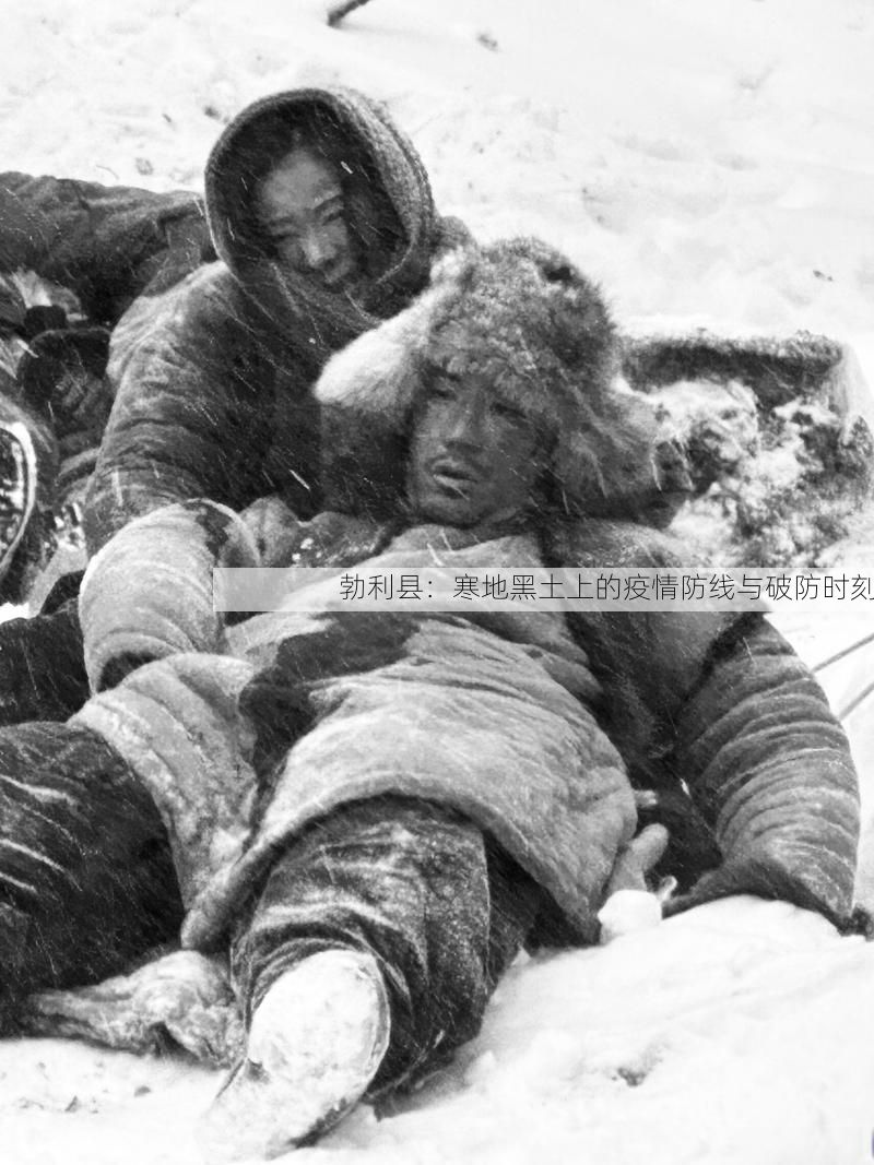 勃利县：寒地黑土上的疫情防线与破防时刻