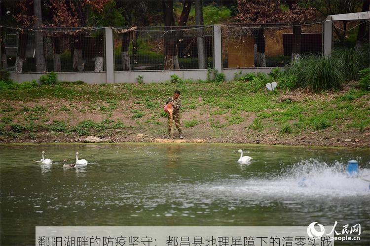 鄱阳湖畔的防疫坚守：都昌县地理屏障下的清零实践