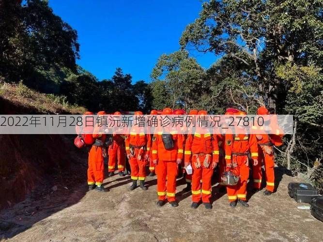 2022年11月28日镇沅新增确诊病例情况_27810