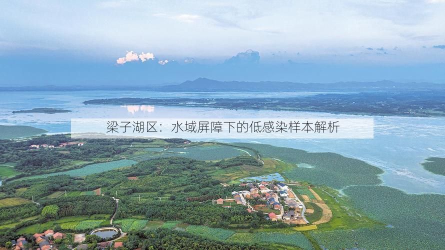 梁子湖区：水域屏障下的低感染样本解析