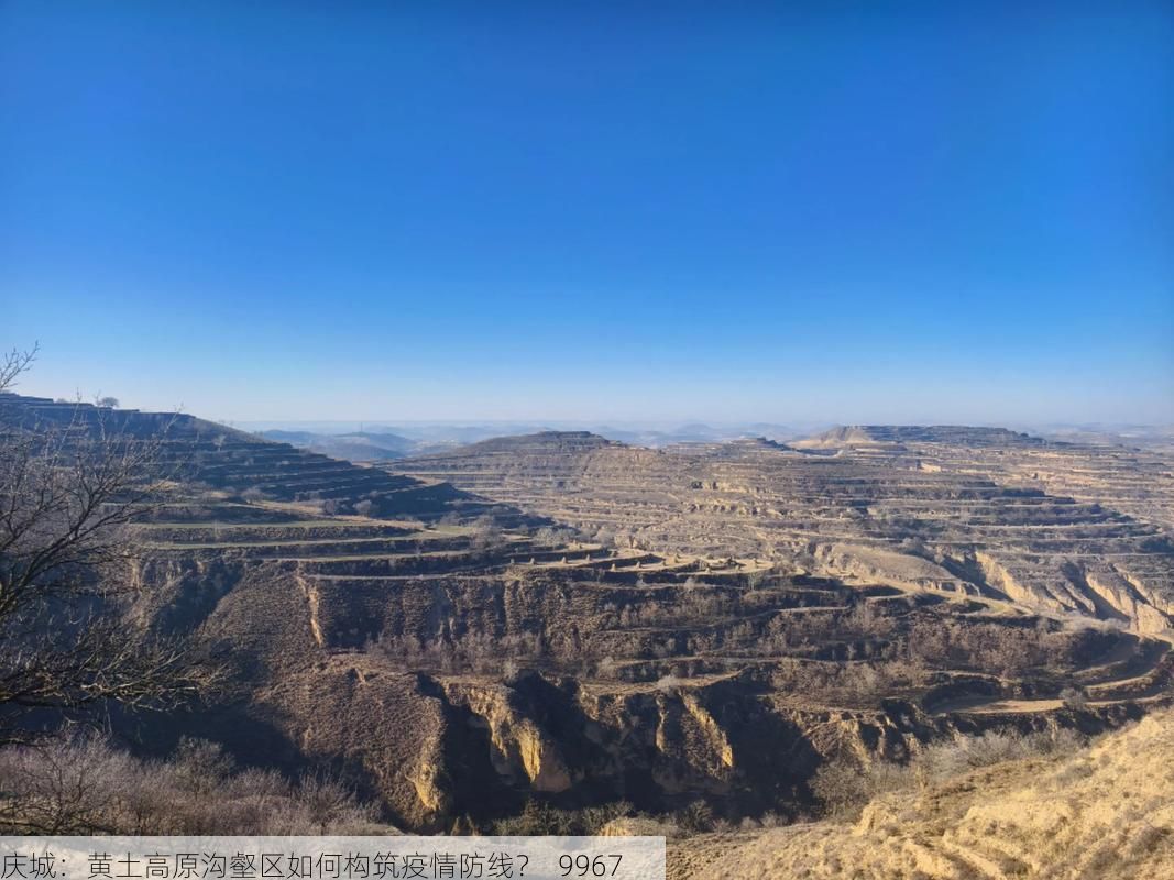 庆城：黄土高原沟壑区如何构筑疫情防线？_9967