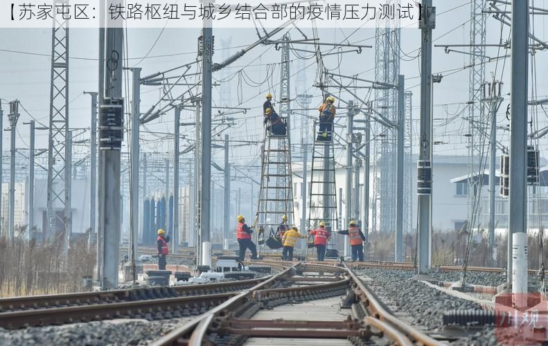 【苏家屯区：铁路枢纽与城乡结合部的疫情压力测试】