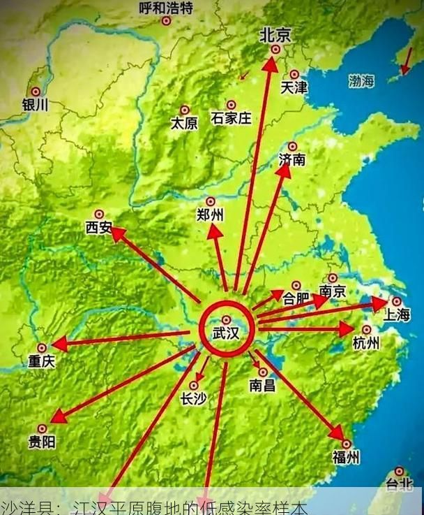 沙洋县：江汉平原腹地的低感染率样本