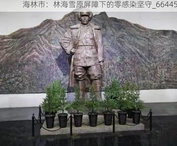 海林市：林海雪原屏障下的零感染坚守_66445
