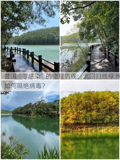 普洱“零感染”的物理防线：北回归线绿洲如何隔绝病毒？