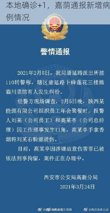 本地确诊+1，嘉荫通报新增病例情况