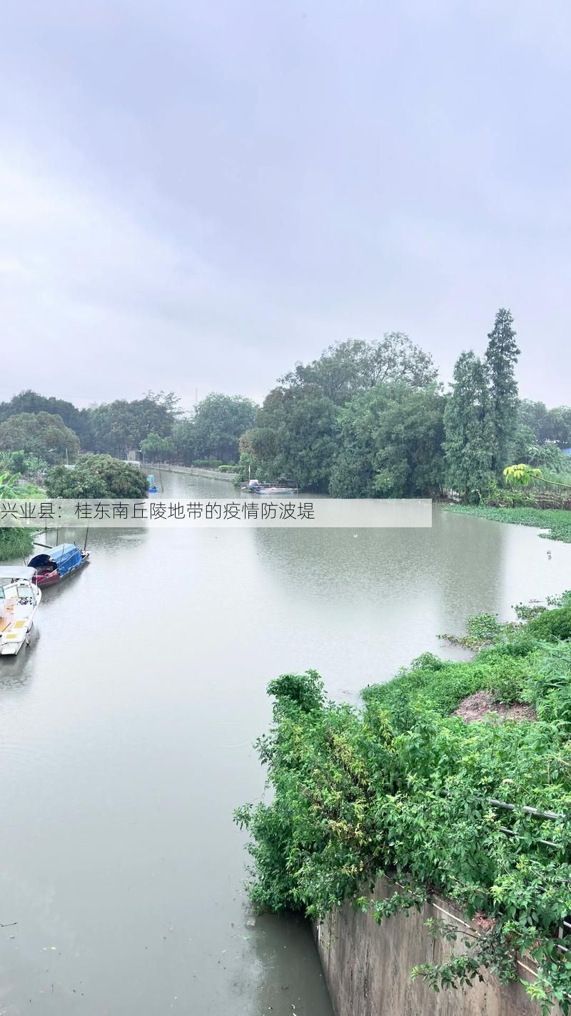 兴业县：桂东南丘陵地带的疫情防波堤