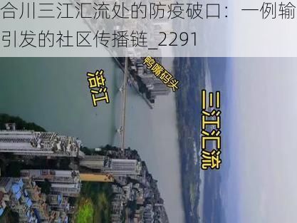合川三江汇流处的防疫破口：一例输入引发的社区传播链_2291