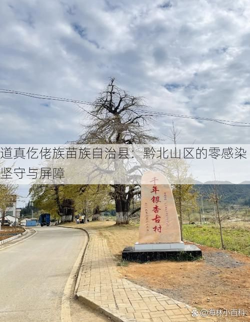 道真仡佬族苗族自治县：黔北山区的零感染坚守与屏障