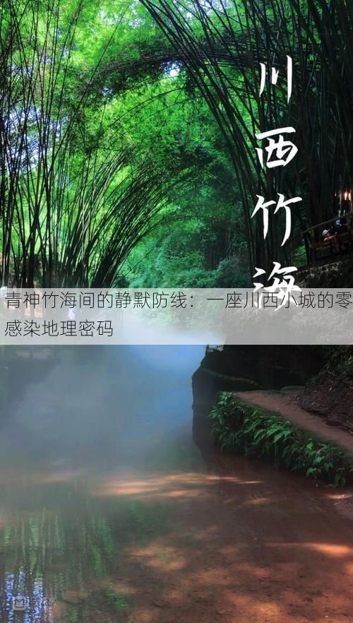 青神竹海间的静默防线：一座川西小城的零感染地理密码