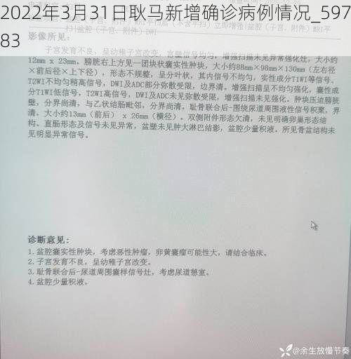2022年3月31日耿马新增确诊病例情况_59783