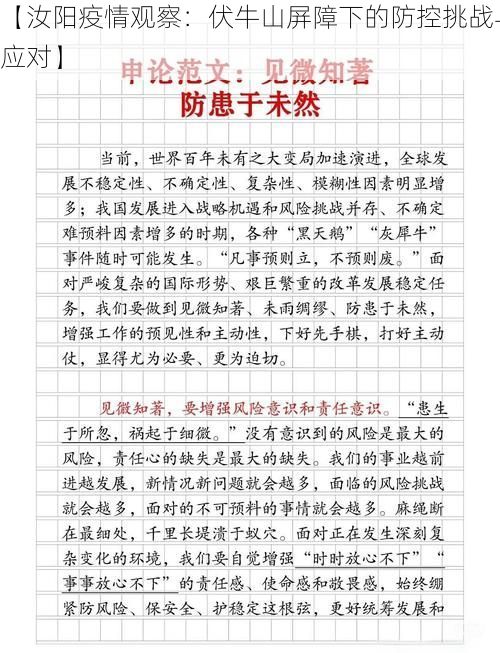 【汝阳疫情观察:伏牛山屏障下的防控挑战与应对】