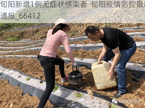 旬阳新增1例无症状感染者 旬阳疫情防控最新通报_66412