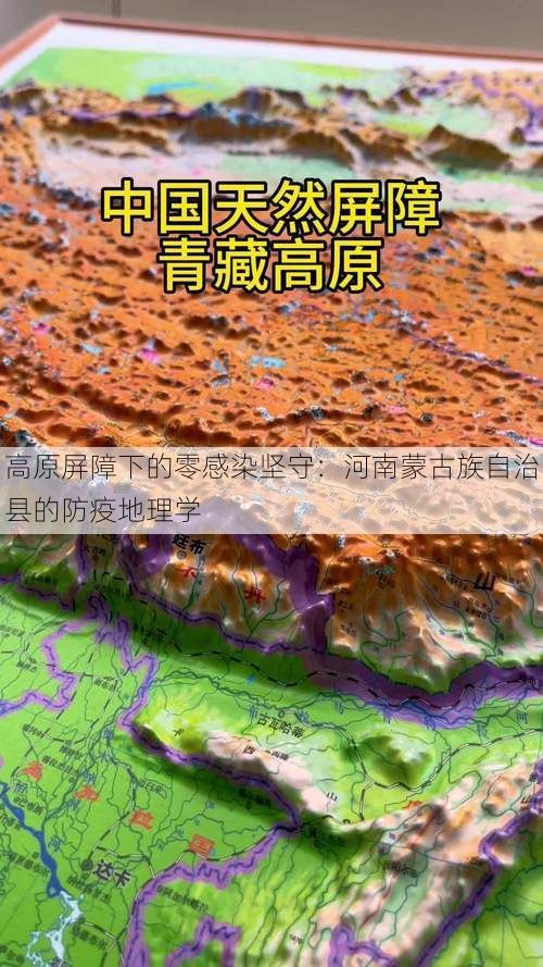 高原屏障下的零感染坚守：河南蒙古族自治县的防疫地理学