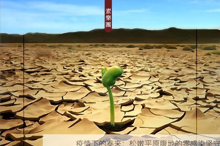 疫情下的泰来：松嫩平原腹地的零感染坚守