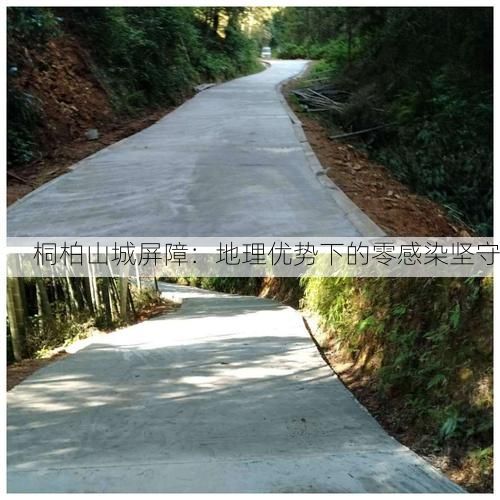 桐柏山城屏障：地理优势下的零感染坚守