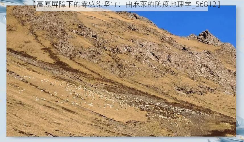 【高原屏障下的零感染坚守：曲麻莱的防疫地理学_56812】