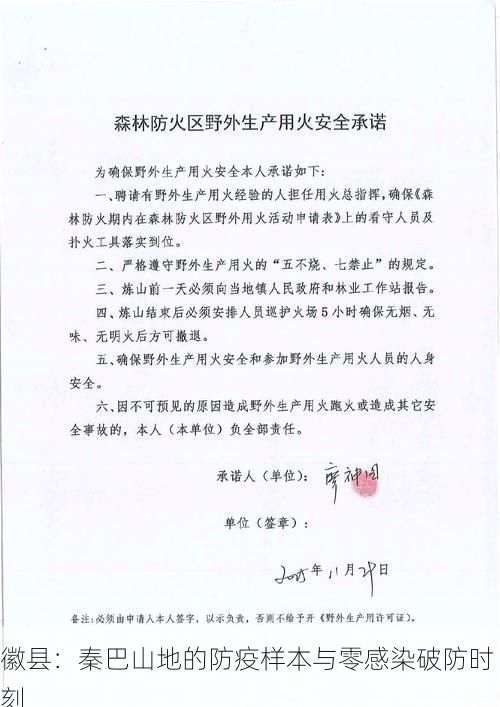 徽县：秦巴山地的防疫样本与零感染破防时刻