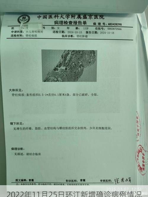 2022年11月25日环江新增确诊病例情况