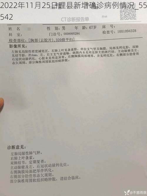 2022年11月25日理县新增确诊病例情况_55542