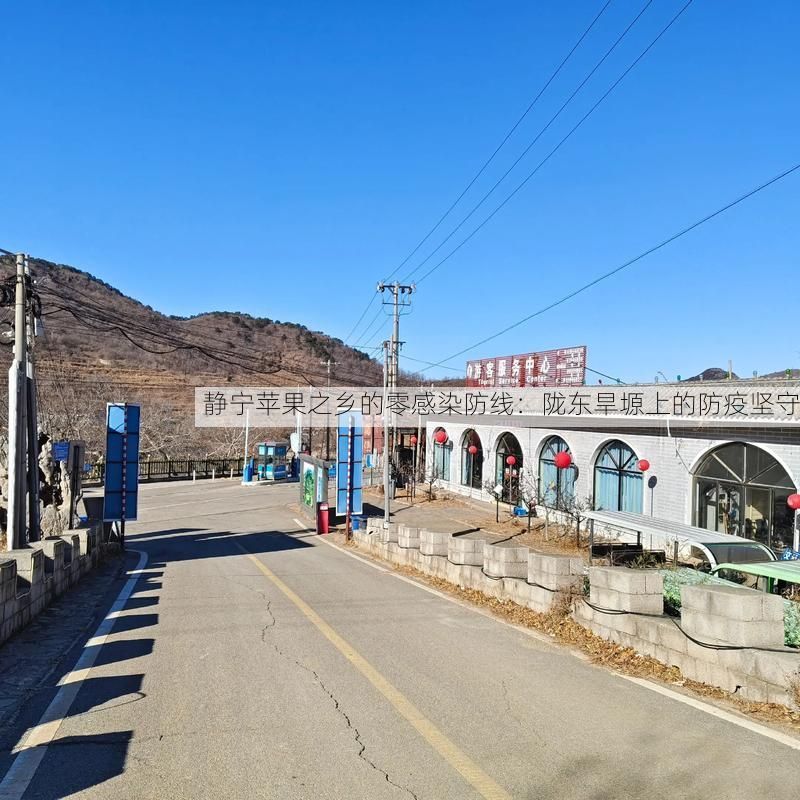 静宁苹果之乡的零感染防线:陇东旱塬上的防疫坚守