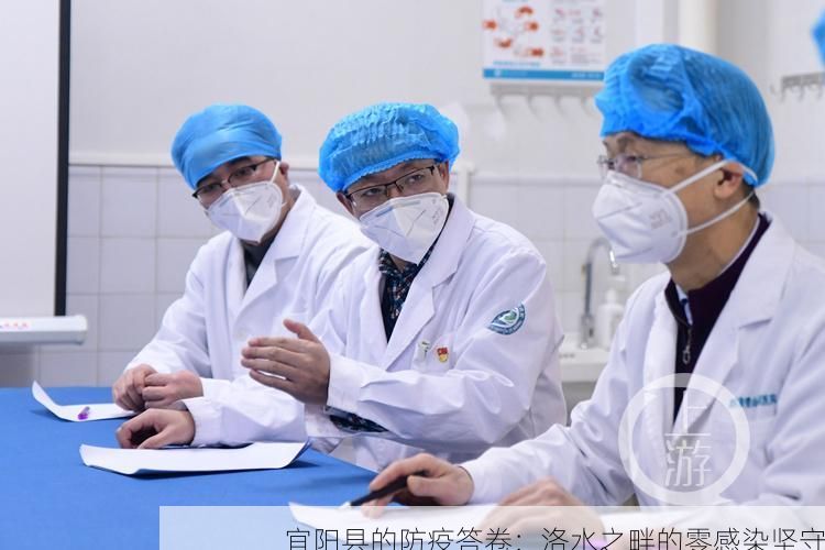 宜阳县的防疫答卷：洛水之畔的零感染坚守