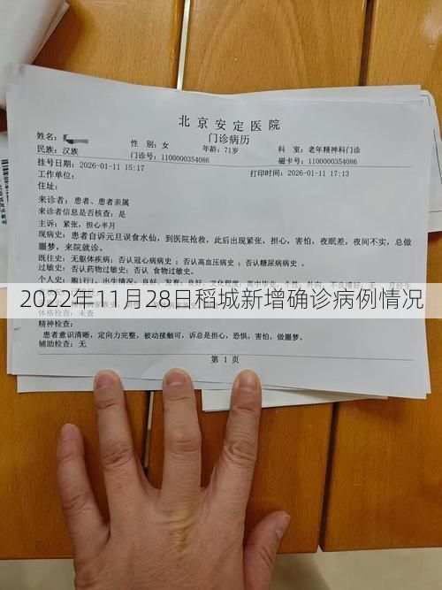 2022年11月28日稻城新增确诊病例情况